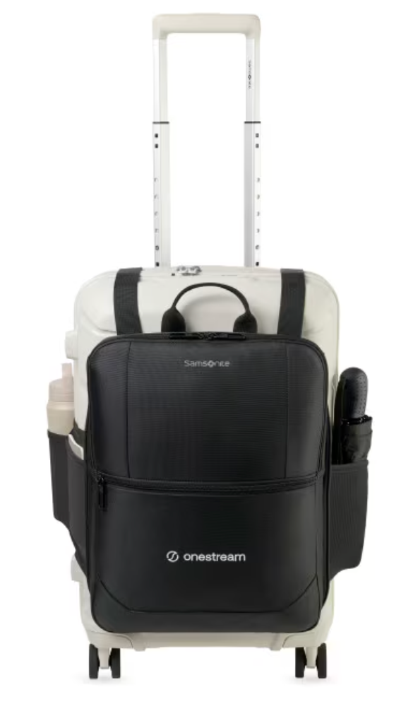 Samsonite Convertible Luggage Cover and Laptop Backpack