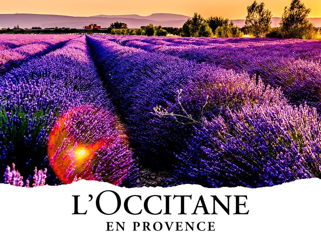 Something Special is on its way - L’Occitane