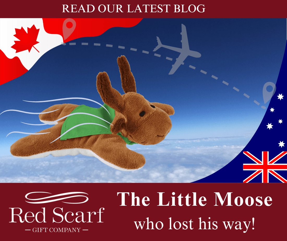 The Little Moose Who Lost His Way! - Red Scarf Gift Co