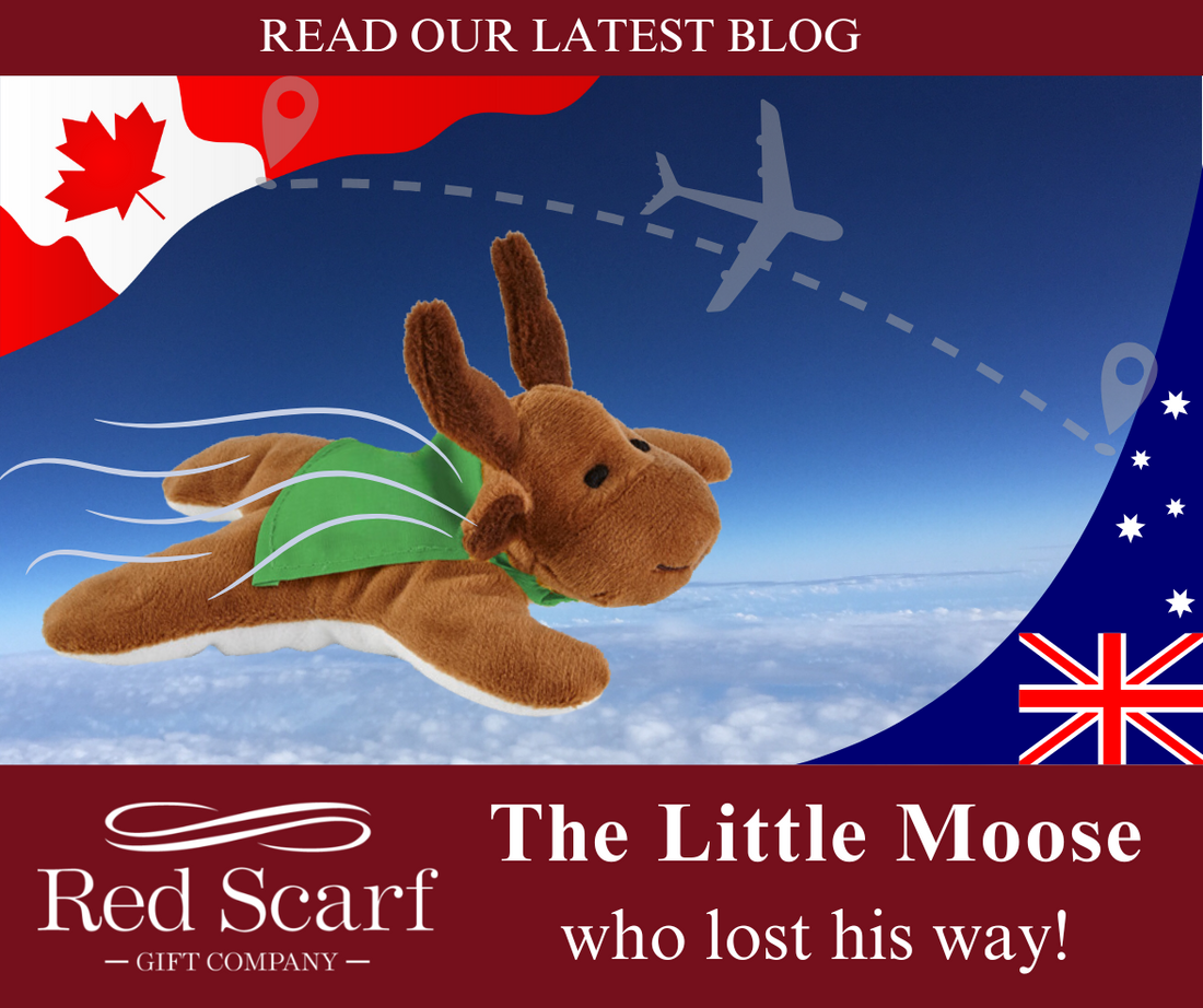 The Little Moose Who Lost His Way!