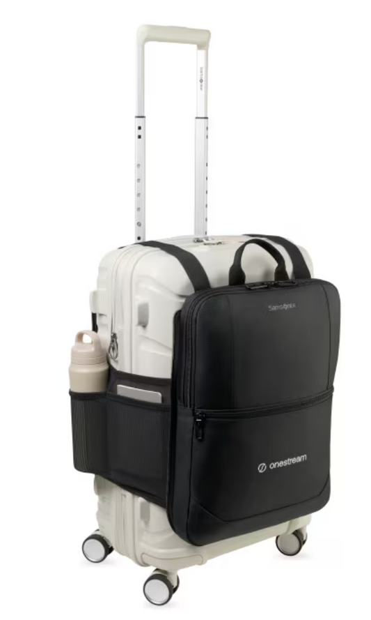 Samsonite Convertible Luggage Cover and Laptop Backpack