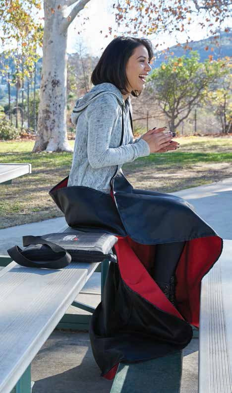 stadium seat picnic blanket